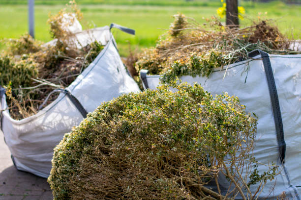 Best Basement Cleanout  in Remsen, IA