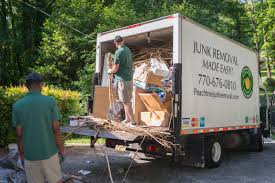 Best Hoarding Cleanup  in Remsen, IA